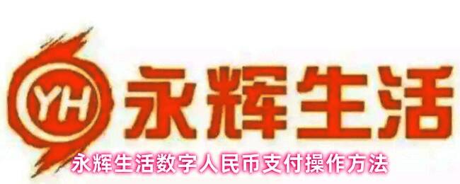 数字人民币支付成功界面示意图，展示支付完成提示与订单编号