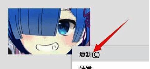 图片在系统自带查看器中打开，右键菜单中高亮显示复制功能