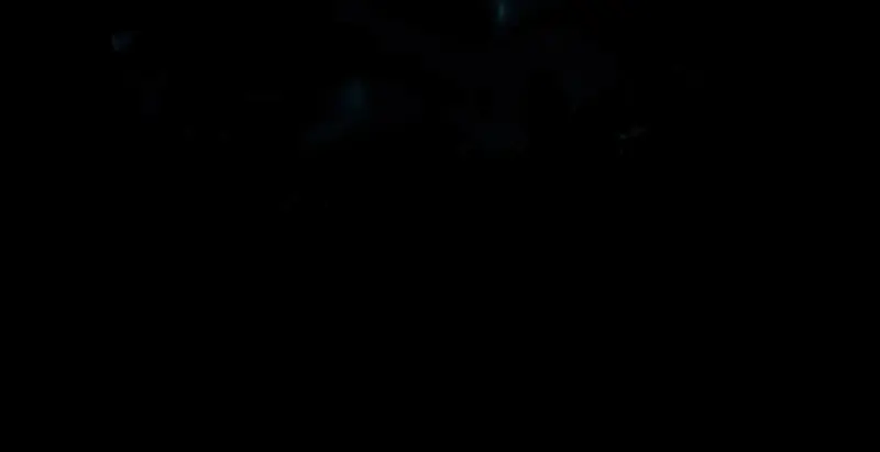 沼泽区域全景，水面倒映着枯树与远处的城堡轮廓