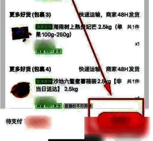 用户正在提交订单，页面显示收货地址与支付选项