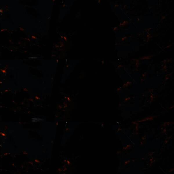 为仓鼠戴上海盗帽并添加多层阴影