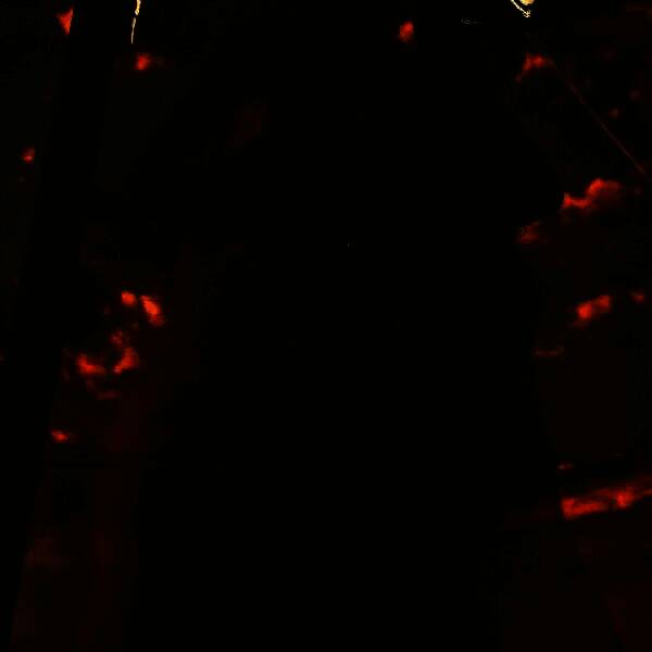 涂抹工具处理前