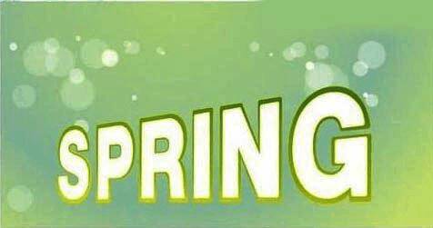 SPRING文字经过透视变形后的效果图，呈现出由近及远的空间延伸感