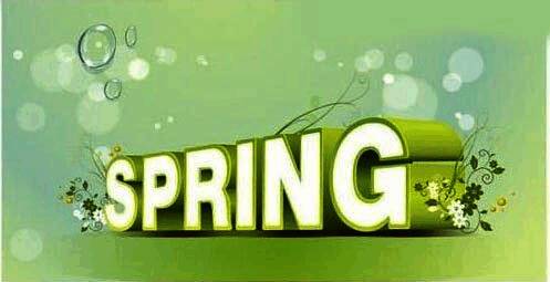 完成后的SPRING立体字作品，周围点缀着小花、绿叶和光点，充满春天气息