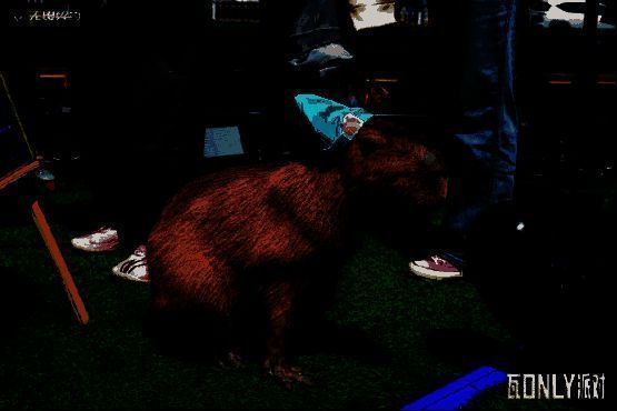 EDG战队成员在舞台上演示对局操作，台下观众举着应援牌热情欢呼