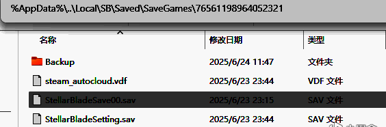 存档文件夹内展示多个以Save开头的存档文件，包括Save00、Save01等，文件类型为.dat或类似游戏存档格式