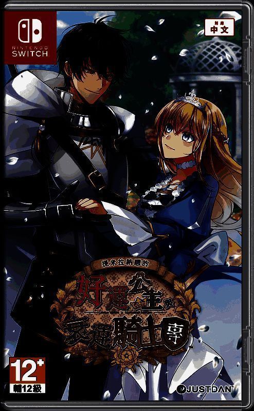 NS游戏实体盒正面展示主视觉，背面印有剧情简介与角色介绍，整体设计典雅大气