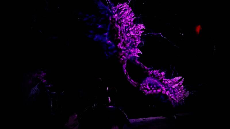 《艾尔登法环：黑夜君临》常世之王战斗场景，黑暗中巨型怪物张开巨口扑向玩家，环境充满扭曲的光影与神秘符文