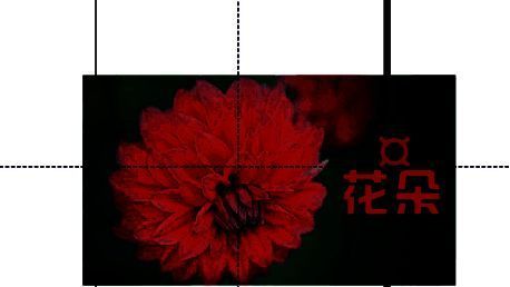 最终设计效果展示，文本中已成功插入特殊字符©