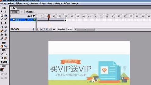 动画播放效果预览，图片正在从透明状态缓慢显现