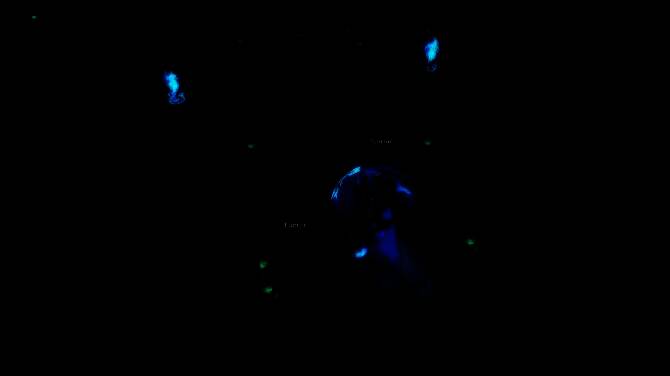 游戏装备系统界面展示，多个带有发光词缀的稀有装备排列在背包中，体现深度Build构建玩法