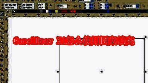 CorelDraw X4软件界面展示，包含工具栏和绘图区域，体现其专业矢量绘图环境