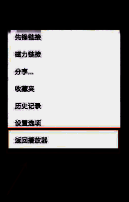 返回播放器功能选项界面展示