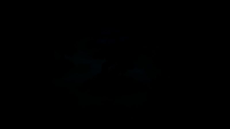 独角兽领地夜晚景象，星空下独角兽角发出柔和光芒，周围漂浮光点