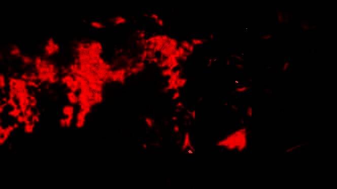 主角在隧道中奔跑，身后黑暗巨影紧追不舍，光影对比强烈