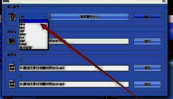 输出格式设置界面，包含格式选择与质量调节选项