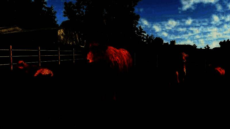 农场中种植着新作物洋葱，田地整齐划一，阳光洒落