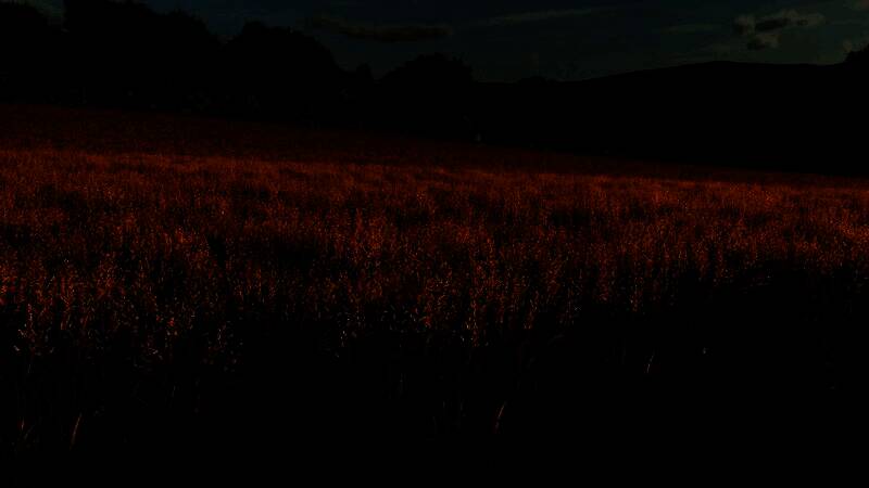 游戏内稻田景观，农民正在插秧，背景为东亚风格农舍