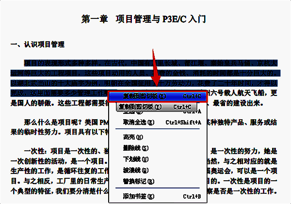 右键菜单中显示复制到剪贴板选项的界面截图