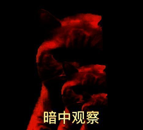 《无尽的拉格朗日》地球日活动宣传图，画面中宇宙飞船与绿洲并存，象征科技与自然的融合