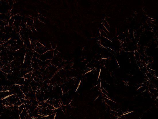 玩家在游戏内参与地球日任务界面截图，任务图标包含树苗、风力发电机和节水标志