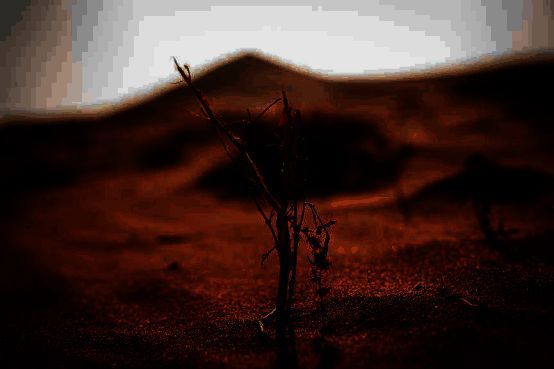 卫星对比图展示腾格里沙漠边缘十年间绿化面积变化，绿色区域明显扩展