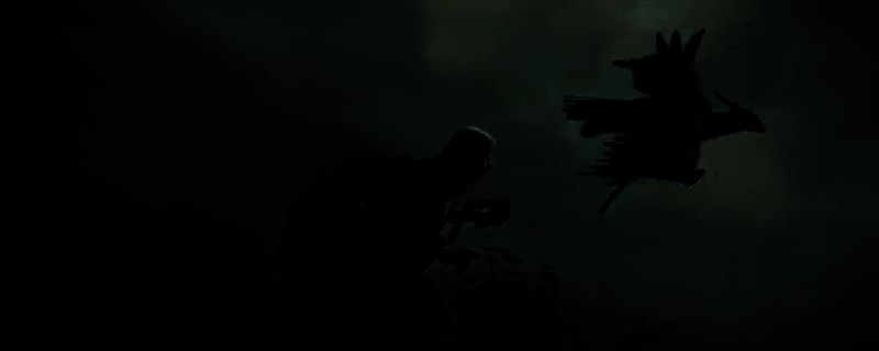 《艾尔登法环：黑夜君临》中隐者角色立绘，身穿深色长袍，手持发光法杖，眼神冷峻，背景为破碎的月光之城