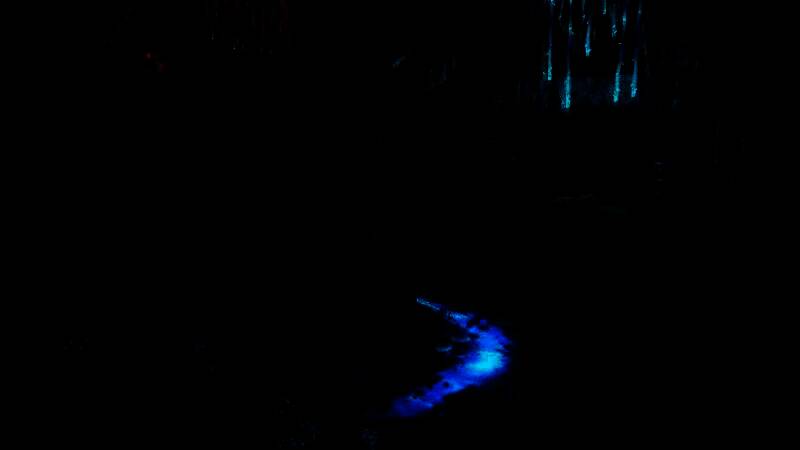 玩家操控角色在深海峡谷中穿行，周围环绕着发光鱼类与漂浮的古代方舟残片