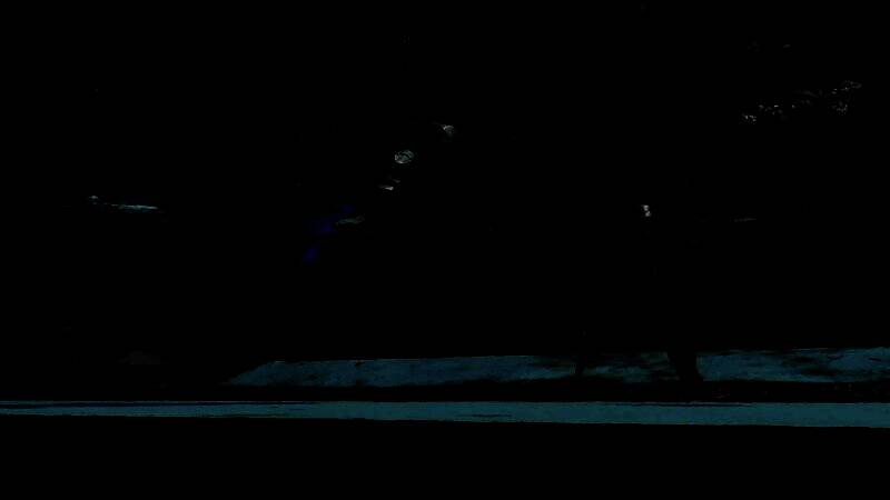 一只海洋形态的迅猛龙在水下游动，身体覆盖鳞片，尾部进化为鳍状结构