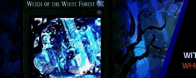 《游戏王MD》完全体白森卡组构筑展示，卡图中包含森罗的施法者、森罗的仙树等核心组件，整体布局清晰展现卡组构成