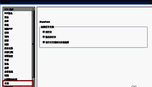 文档设置页面中‘允许多实例’选项被勾选，说明可开启多个窗口