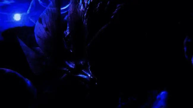 《怪物猎人：荒野》Steam页面显示大量差评，评论区充斥玩家对优化和内容的抱怨