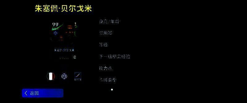 贝尔戈米身穿国际米兰球衣，站在球场中央举起手臂指挥防线，背景是梅阿查球场的蓝黑旗帜飘扬