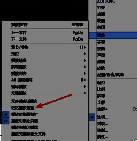 鼠标右键菜单展开，【播放】子菜单中可见【记忆播放位置】选项已高亮显示
