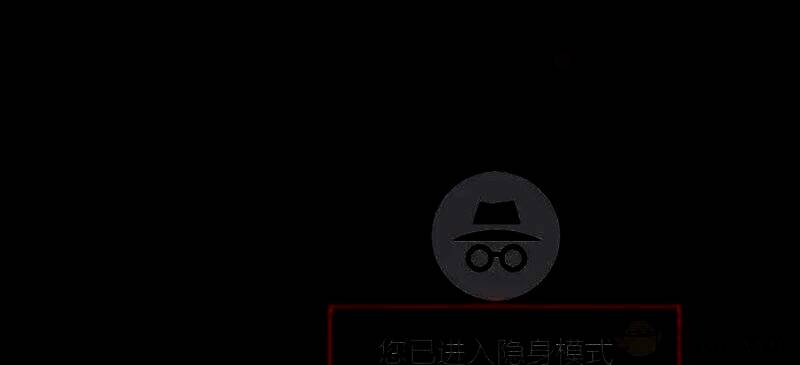 无痕模式窗口顶部显示‘无痕’字样及小图标，界面清晰明了