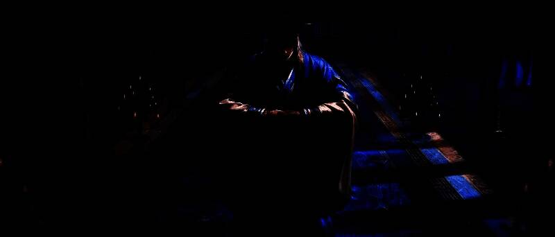 谋荀彧技能界面展示，左侧为阳形态技能‘奉天’与‘筹策’，右侧为阴形态‘驱虎’与‘吞狼’，界面设计融入古卷轴元素