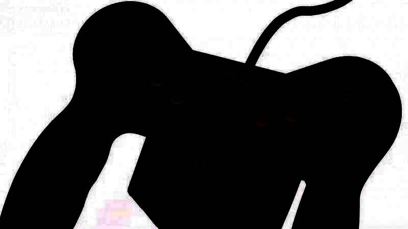 玩家使用任天堂Labo纸板VR装置进行游戏的实拍画面，展现家庭娱乐的创意互动