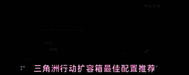 三角洲行动游戏中仓库界面展示，各类扩容箱整齐排列，玩家正在整理装备物资