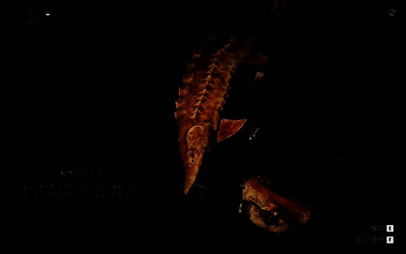 游戏地图截图显示圣丹尼斯西北方向的池塘位置，红点标记为推荐钓鱼点