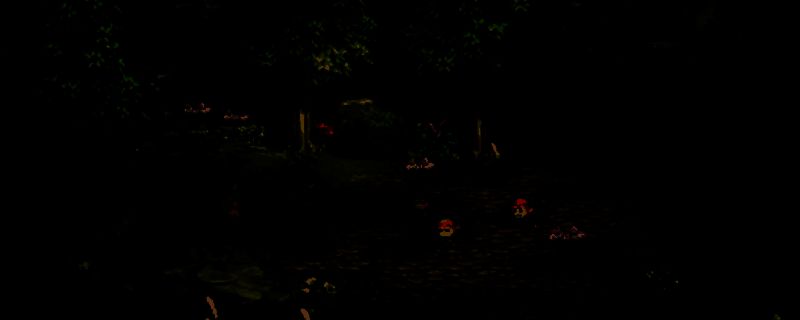 游戏内蜜蜂与狂暴熊战斗场景，角色正在采集刚击败怪物掉落的蜂蜜和熊胆