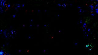 三种宝箱展示图：寻酒能手、寻酒达人、寻酒大师宝箱依次排列，箱体雕刻酒纹，光芒闪烁，彰显稀有品质