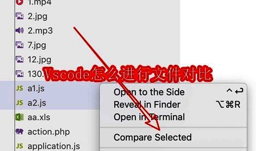 VSCode界面中文件资源管理器展示多个文件，用户正在浏览项目结构