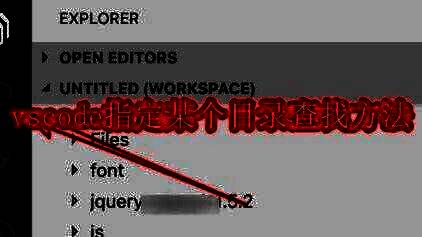 VSCode界面左侧的查找图标高亮显示，界面清晰展示搜索功能入口