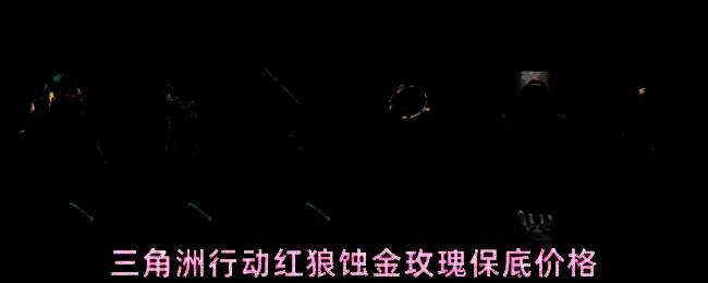 《三角洲行动》中干员红狼身着蚀金玫瑰皮肤的立绘展示，整体风格融合玫瑰元素与战术装甲，视觉冲击力强