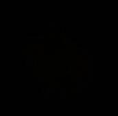 《莱恩岛生存指南》中棉花生长岛屿的俯视图，显示开阔地形与成片植物分布