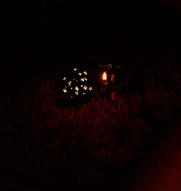 游戏中温暖地貌岛屿的实景画面，阳光充足，草地与灌木交错生长