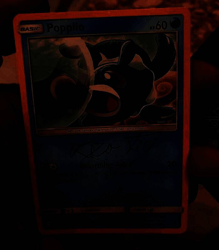 Reddit用户ReptileCake展示其收藏的球球海狮卡牌，背面清晰可见教皇签名