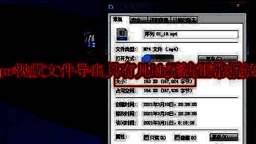 Adobe Premiere Pro界面截图，展示视频编辑工作区