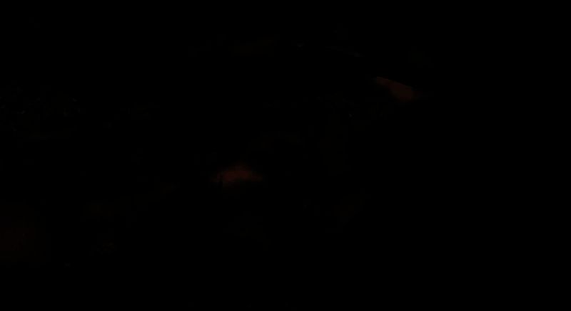 不夜京一气屿场景截图，玩家角色正与一位白发长须老人对话，背景为古风建筑群