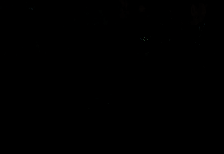 竹林地面特写，一枚刻有龙纹的青铜令牌静静躺在落叶中，周围光影斑驳